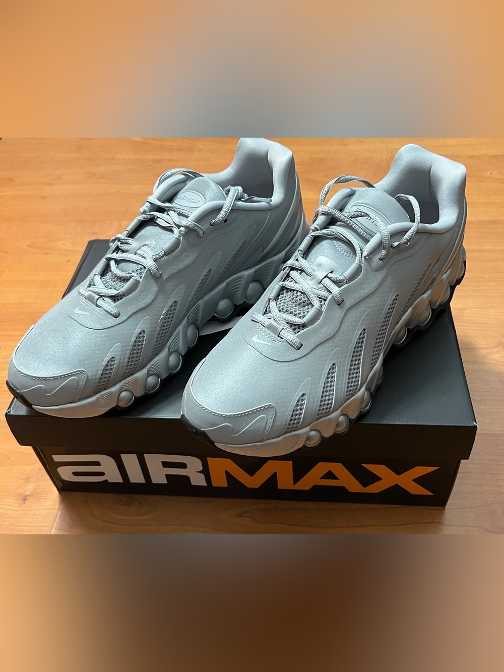 Nike Air DN8 silver metallic men’s 11.5 new in box grey wolf edition